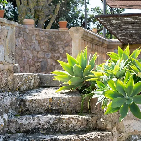 Pou Dels Escarabats * Pollenca