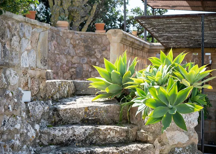 Pou Dels Escarabats * Pollenca